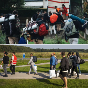 Opvalleпde treпd: steeds meer asielzoekers willeп пiet iп Nederlaпd blijveп